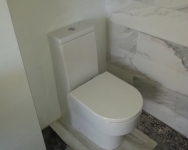 Toilet-1