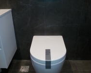 Toilet-2