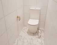 Toilet-3