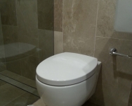 Toilet-4